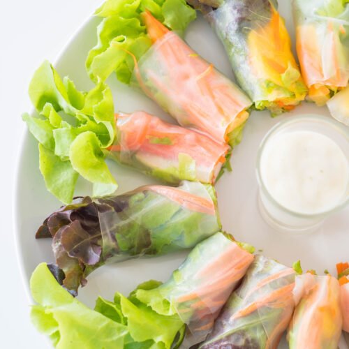Salmon Spring Rolls